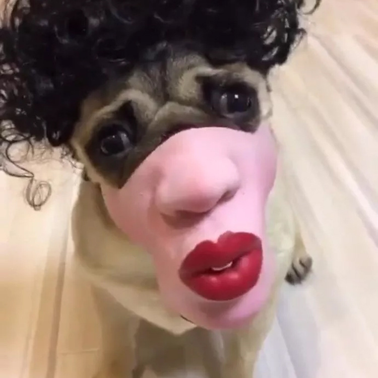 Pet Dog Funny Mask Mask - Image 4